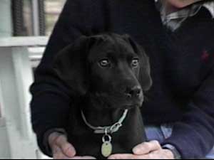 My 1st day at home...