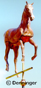 Hackney Horse Front View