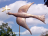 Go to Dove of Peace Weathervane Page