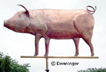Go to Hog Weather Vane Page